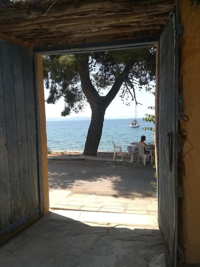 Yard Of Epicurus - η αυλή του επίκουρου Holiday home *