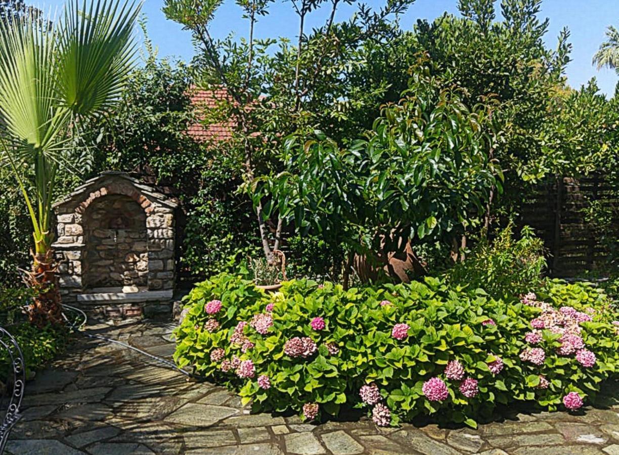 Archontiko Tsaknaki Manolia Guest house Ano Lekhonia