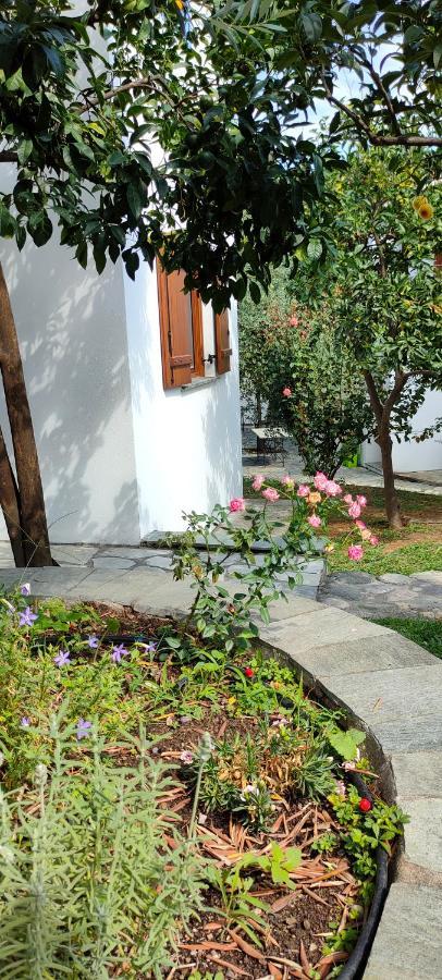 Aeolos & - Pelion Aparthotel 3*