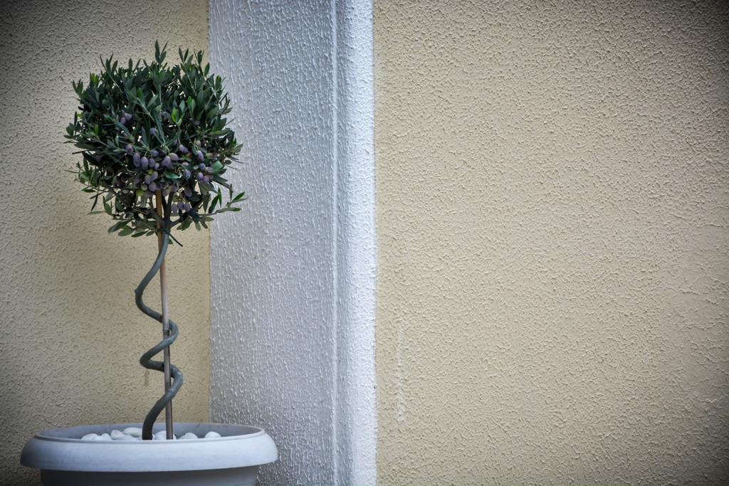 Apollon Hotel Xylokastro