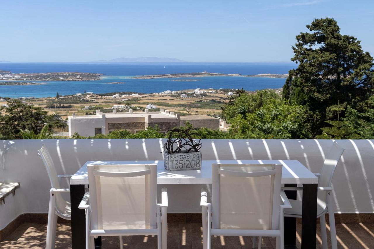 Paros Butterfly *
