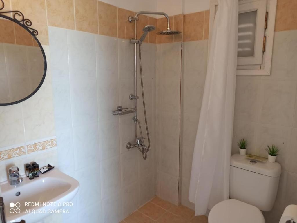 Apartment Anastasios Olive Garden *
