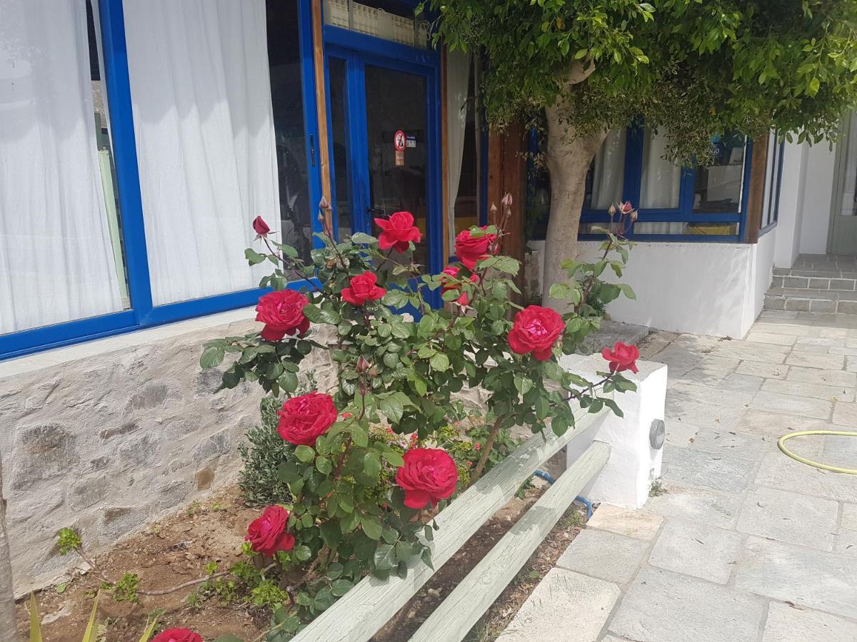 Hotel Isalos On The Serifos Town