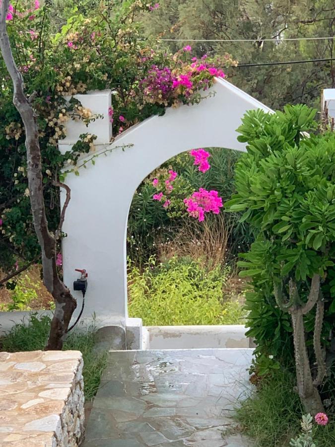 Irene's House