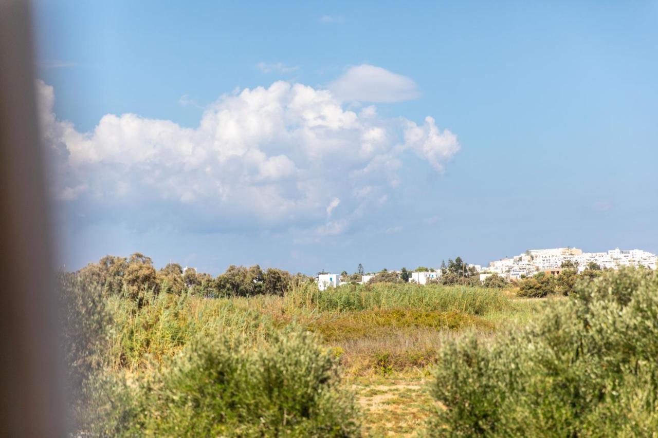 Surfer Paradise Apartment Naxos City