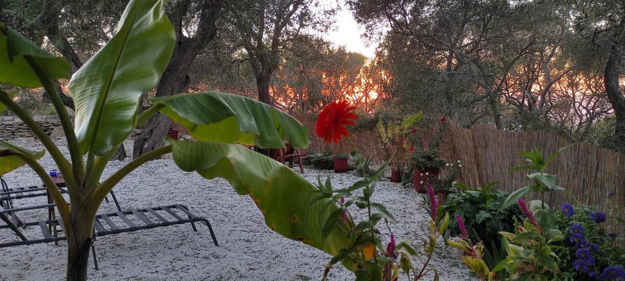 Olive Garden, Kastanida - Paxoi * Gaios