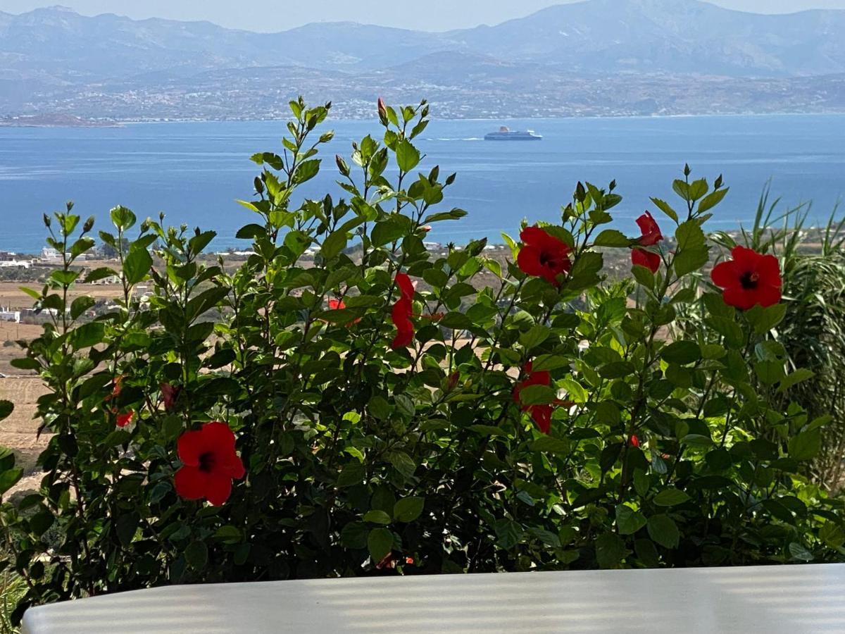 Nisides Villa Kostos