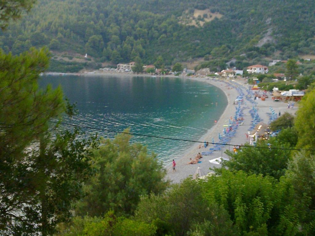 Narkissos