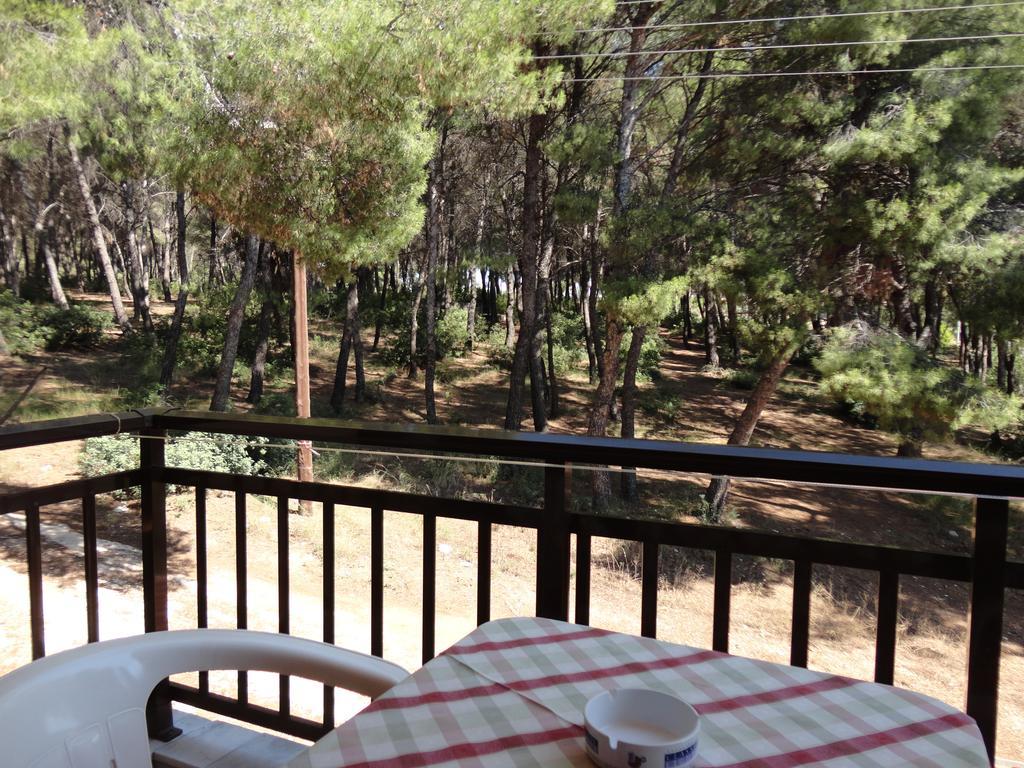 Maik Apartment Metamorfosi (Sithonia)