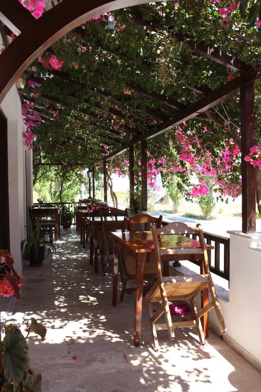 Angeliki Hotel Ireo (Samos)