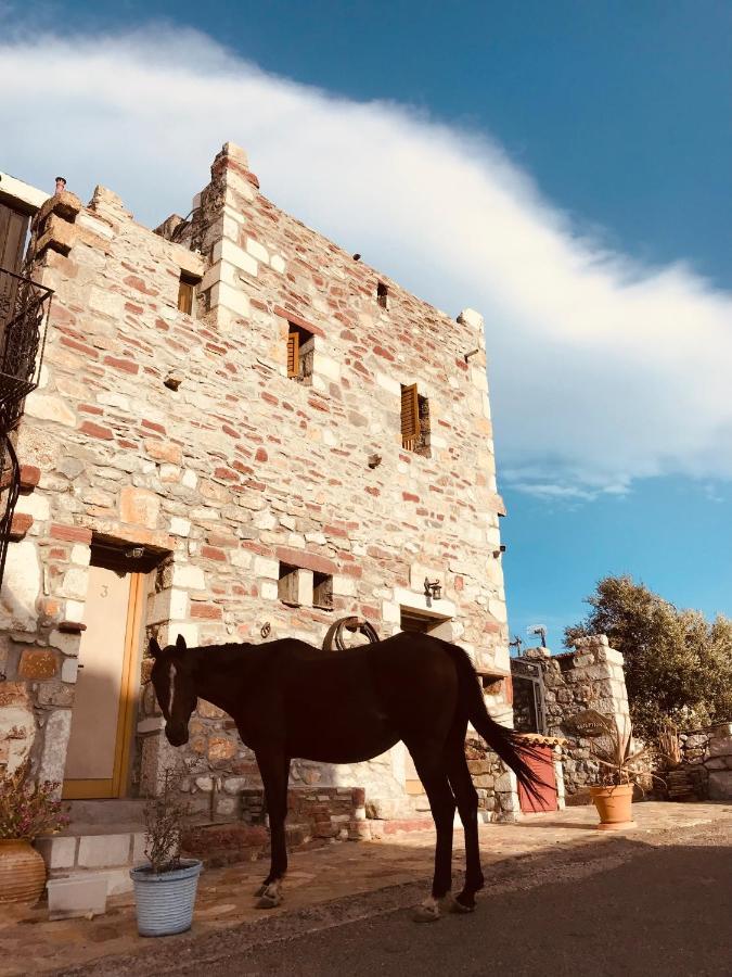 Guest house Castle Rizaraki