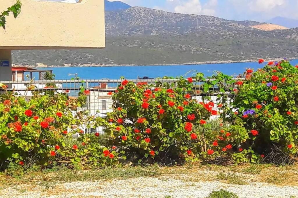 Summer Aura - Seaside Place Istro