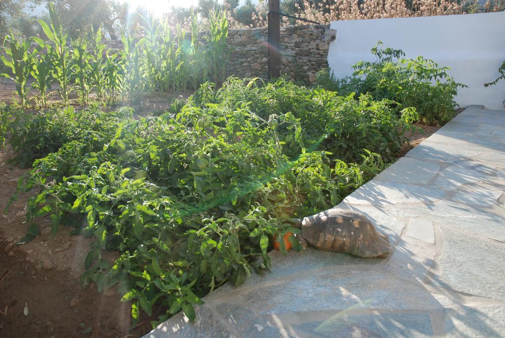Edem Aparthotel 3*