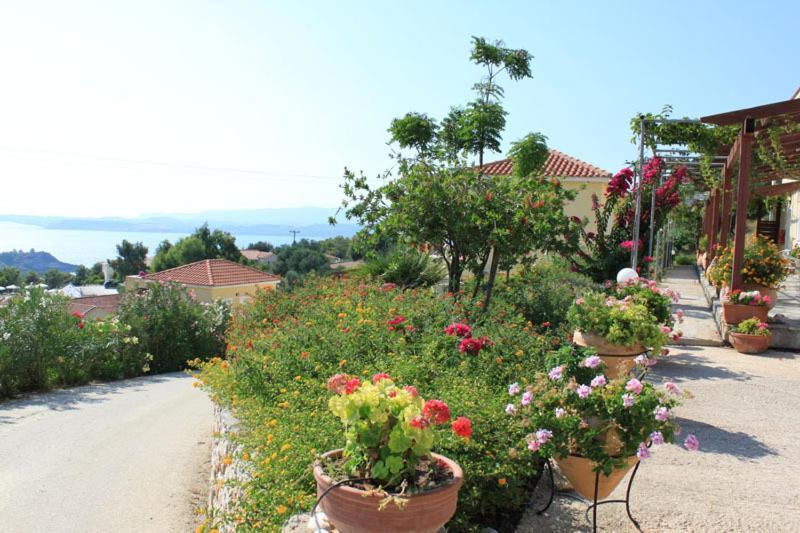 Maria's Garden * Lassi (Kefalonia)