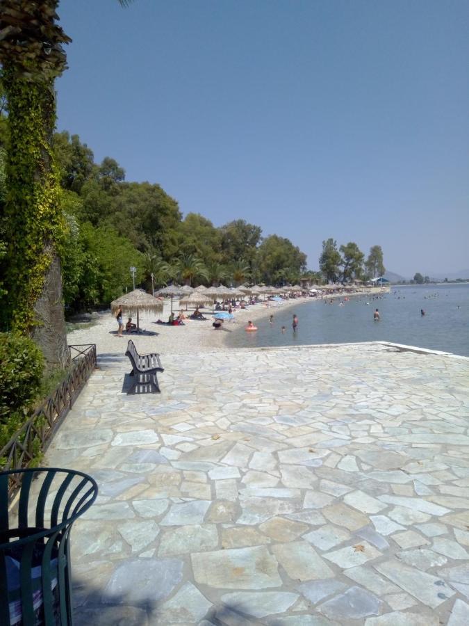 Palataki 3*