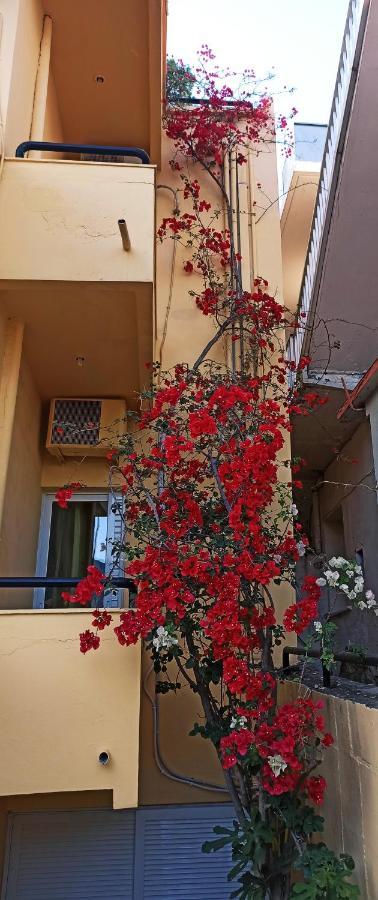 Drosia Hotel Georgioupoli