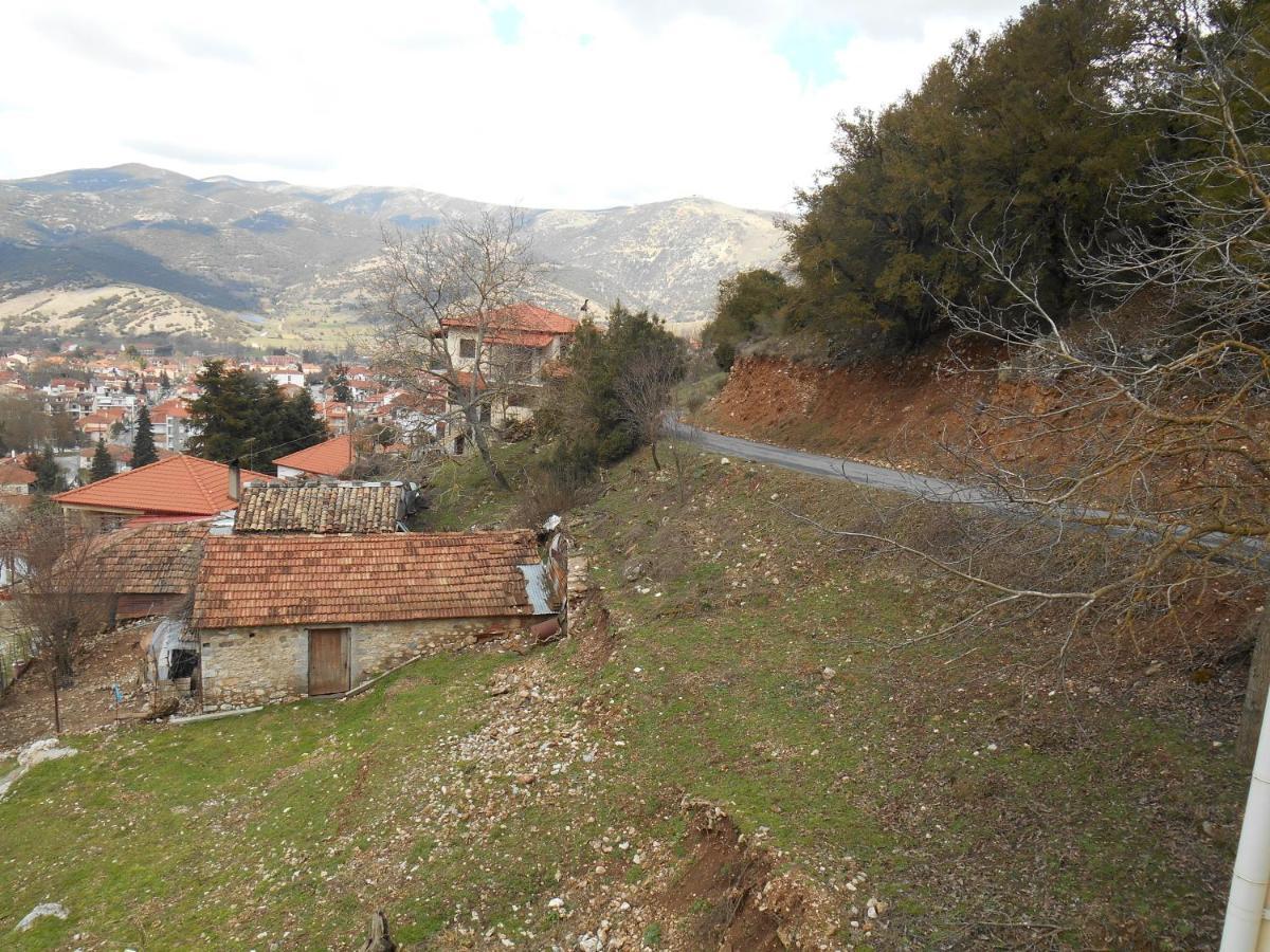 Amadriades Guest house