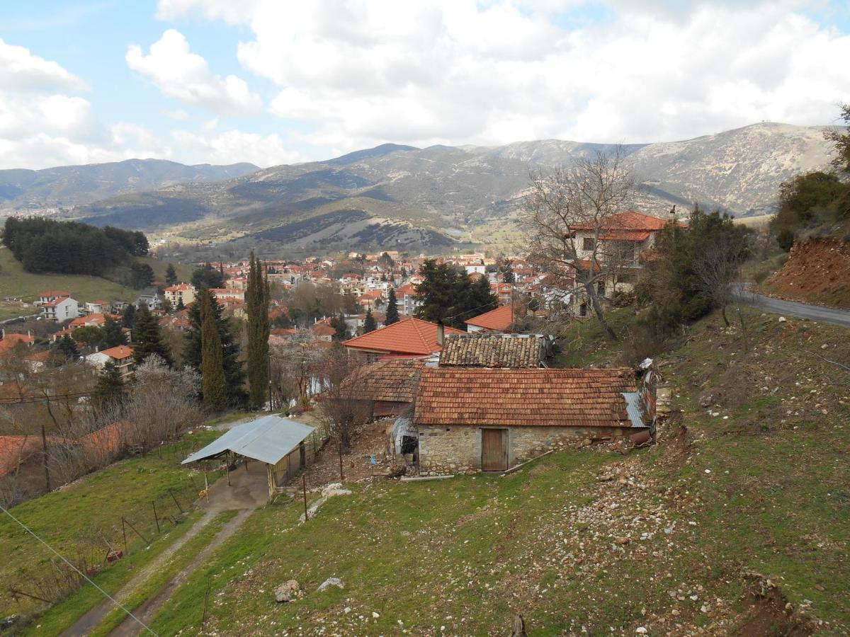 Amadriades Guest house 3*