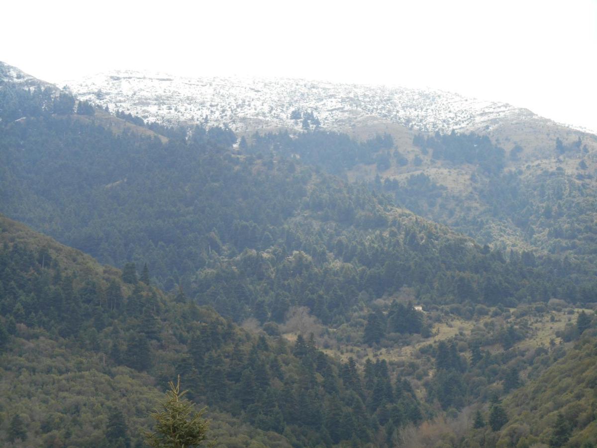Amadriades Kalavryta
