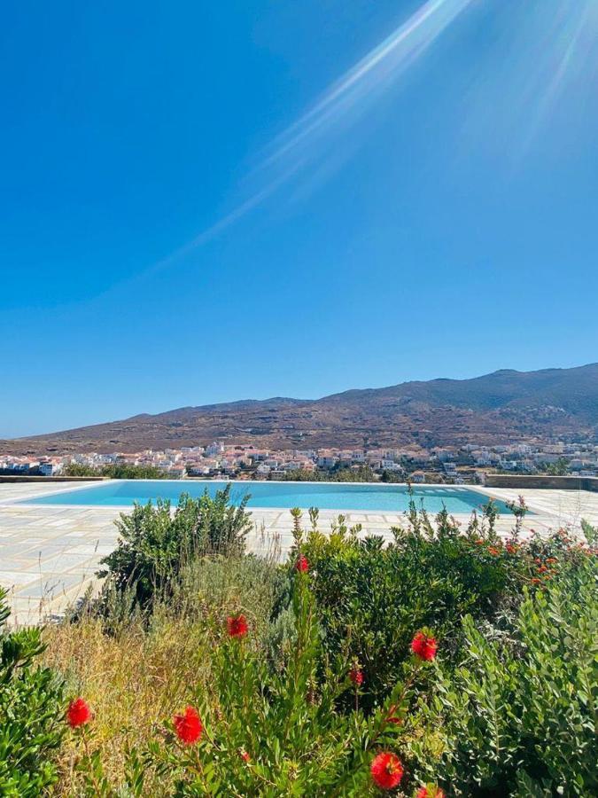 Villa Harma Andros Town