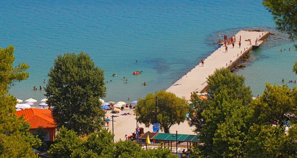 Adonis * Kallithea (Chalkidiki)