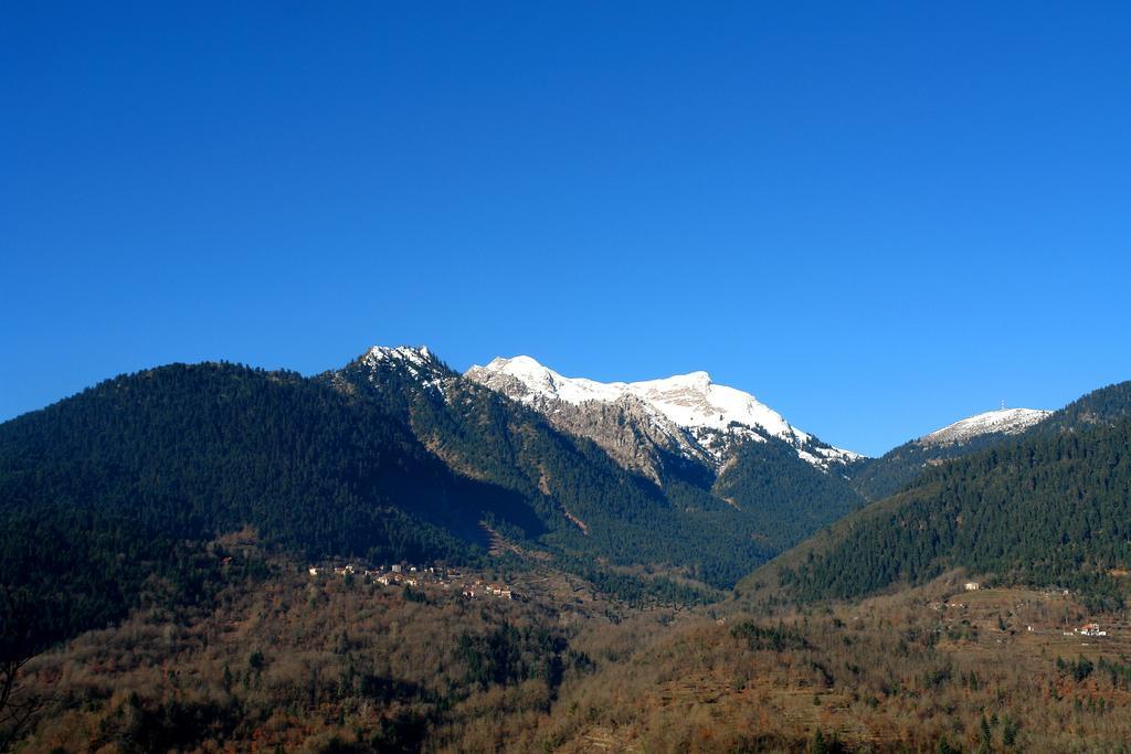 Levanta Guest house