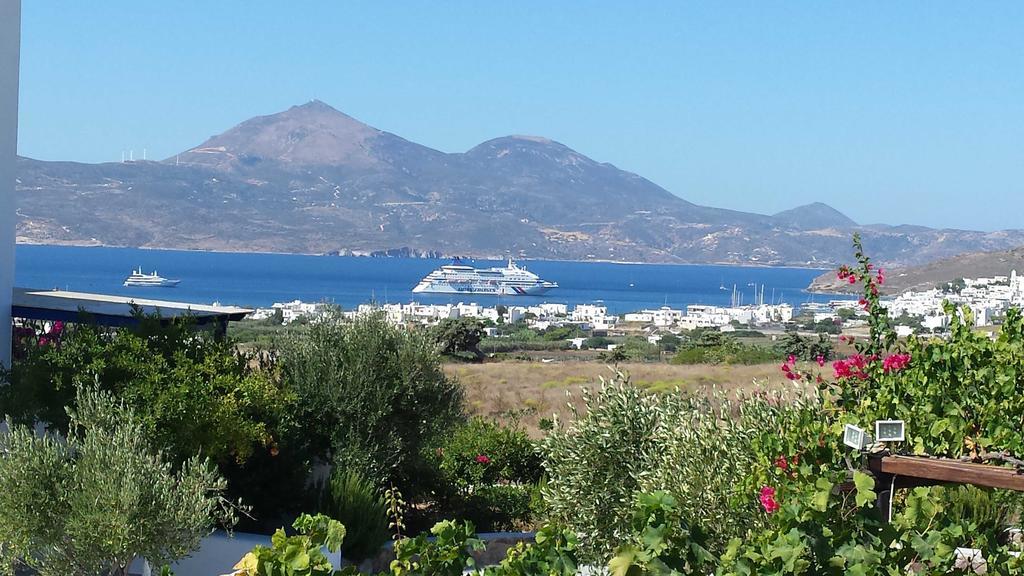 Iliana Olive Branch Adamantas (Milos)