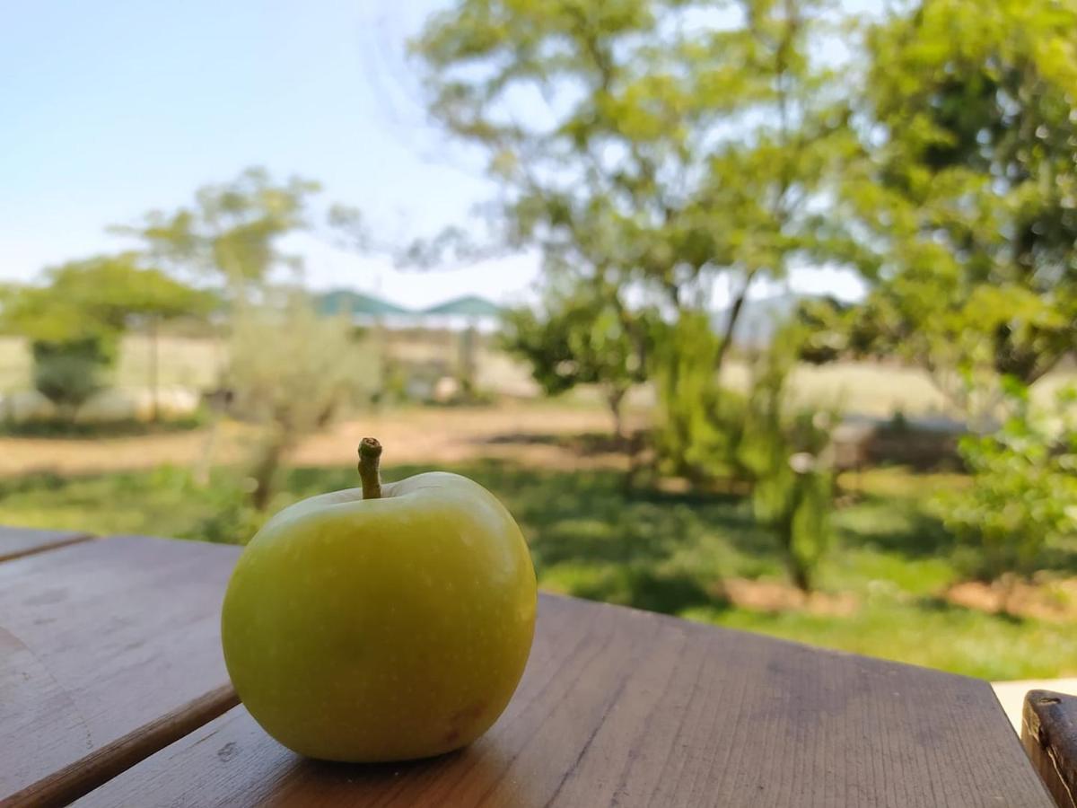 Country house Ktima Anastasia *