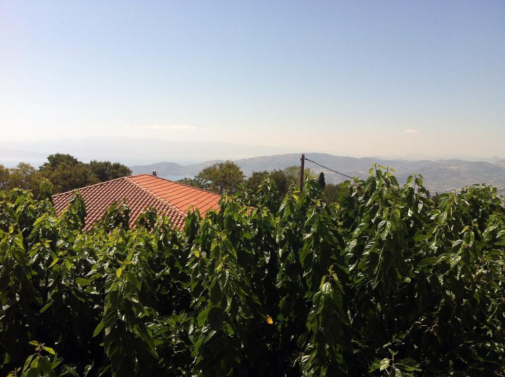 Kolenti Guest house