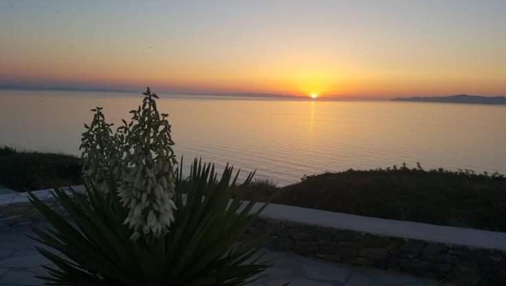 Apartment Syros Chryssonisos Kini
