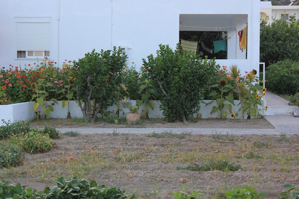 Anthoula * Kefalos (Kos)
