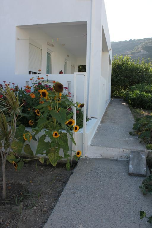 Anthoula * Kefalos (Kos)