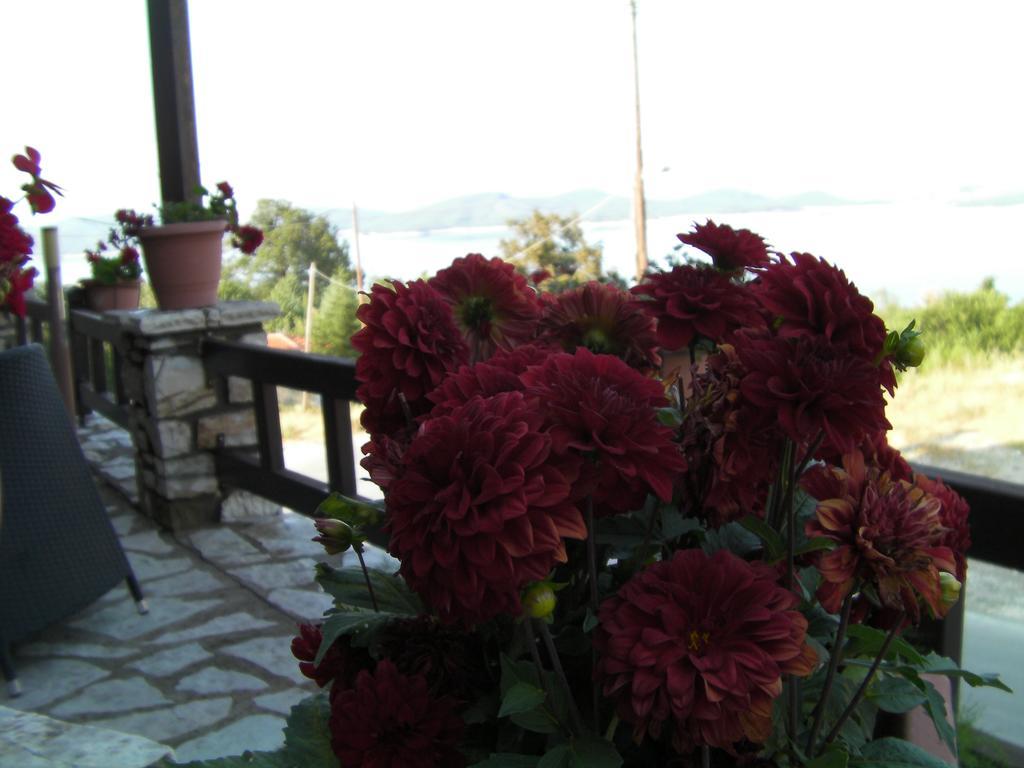 Pandion Luxury Boutique Hotel & Suites With Spa Hotel *
