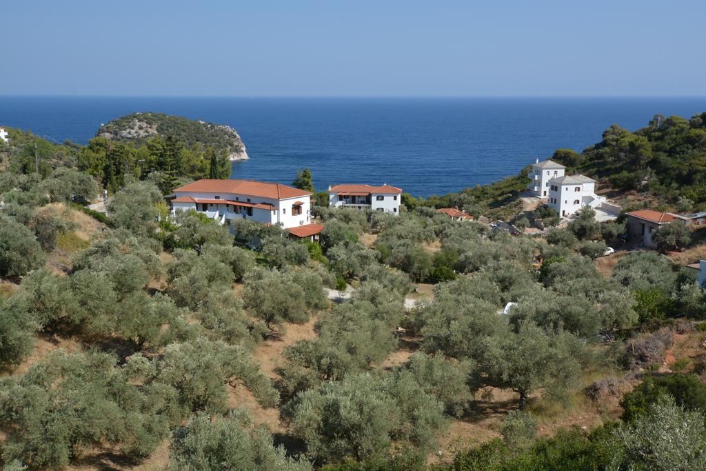 Ariadne 2*