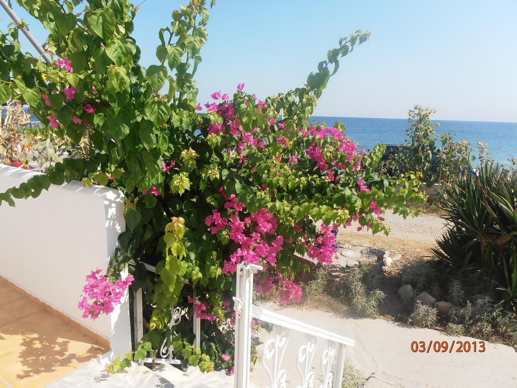 Iro Aparthotel 2*