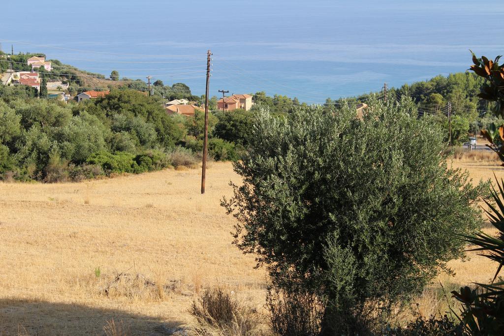 Apartment Manolia Trapezaki (Kefalonia)