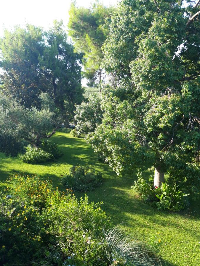 Guest house Oasis Amoudi