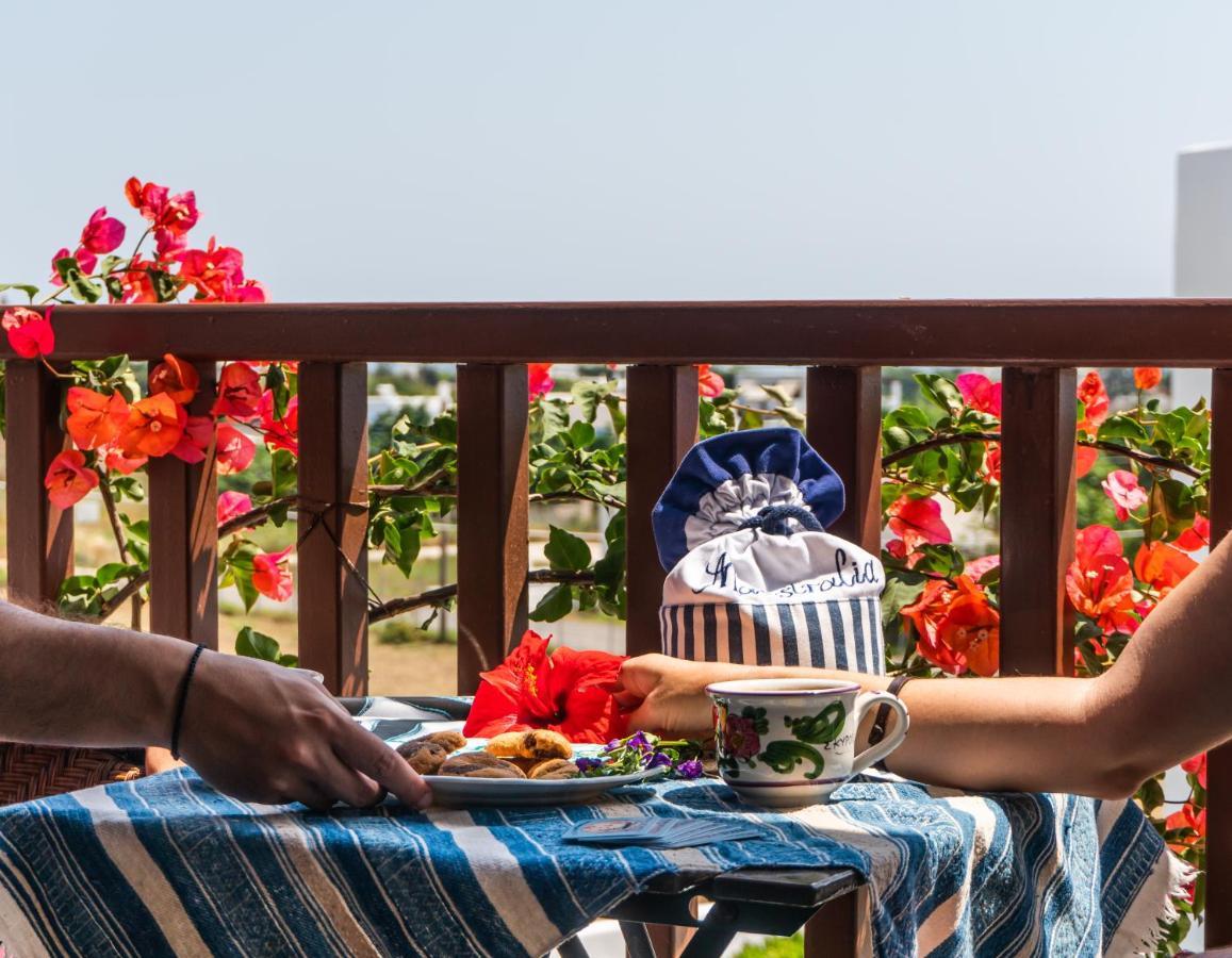 Maestralia Apartment Skyros