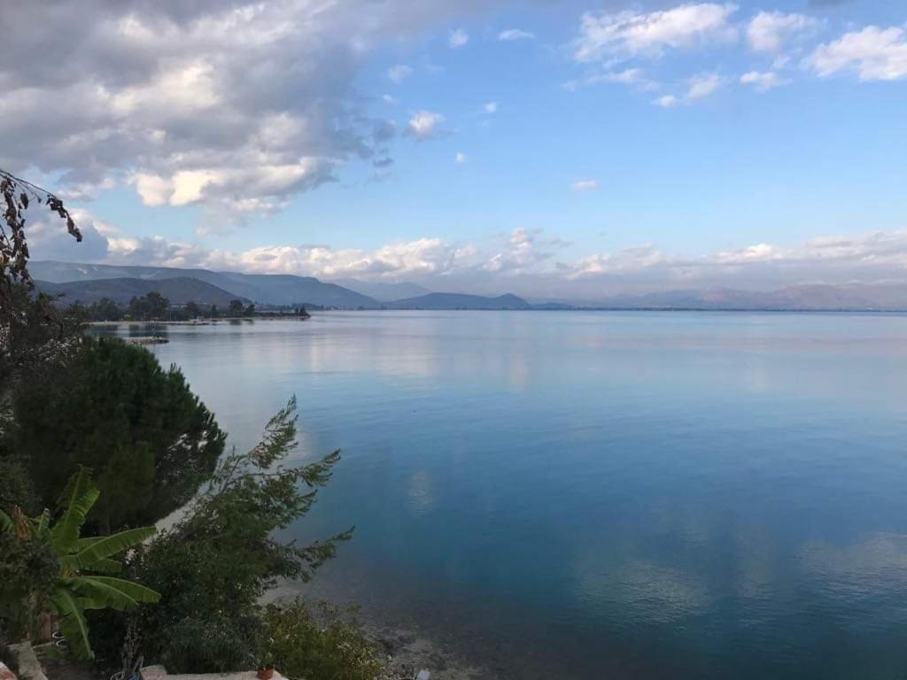 Linamare Eolos *