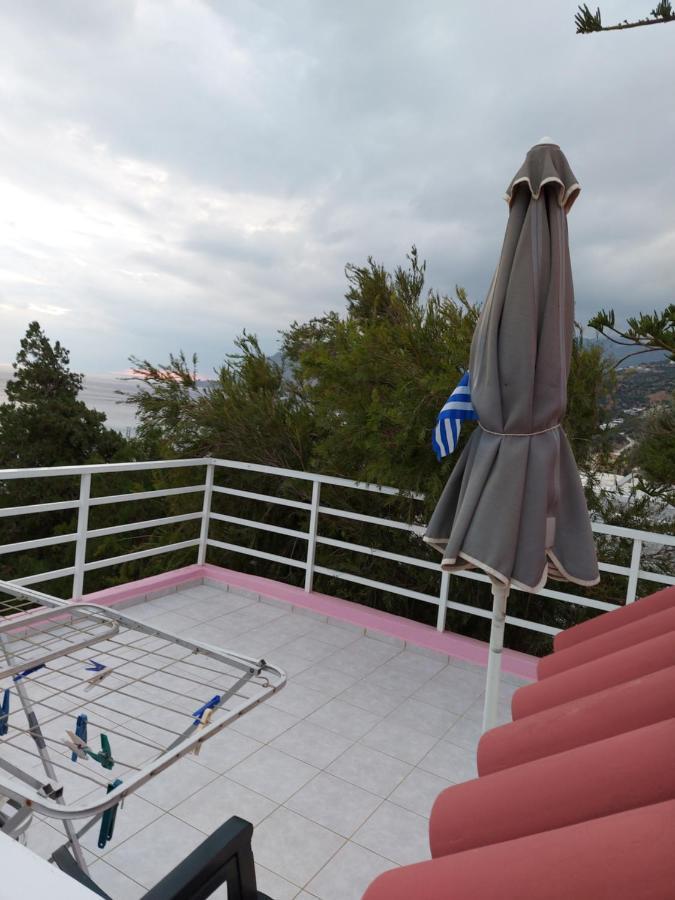 Camelia Apartment