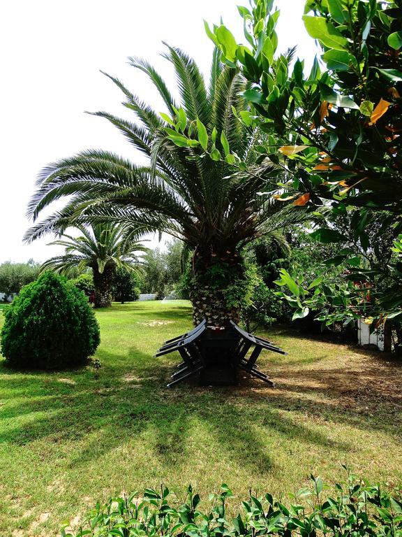 Karpetis A Paradise Psakoudia