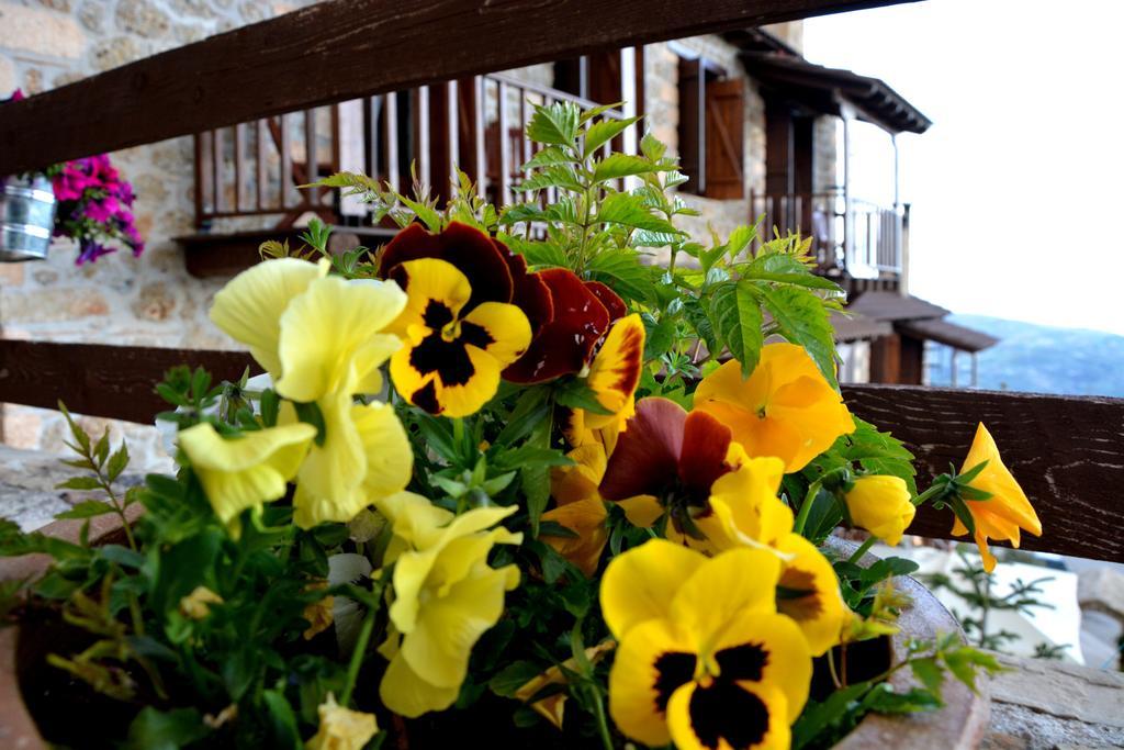 Guest house Nymfes
