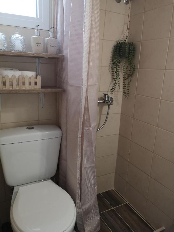 Apartment Bohemian Loft With View! Volos