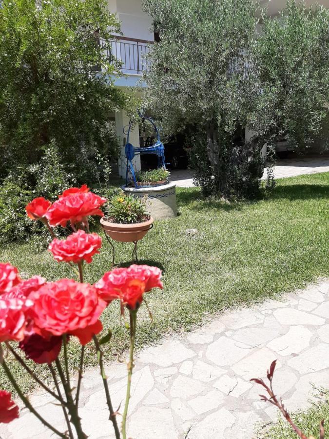 Apartment Dimi Seafront By Pro Services - *
