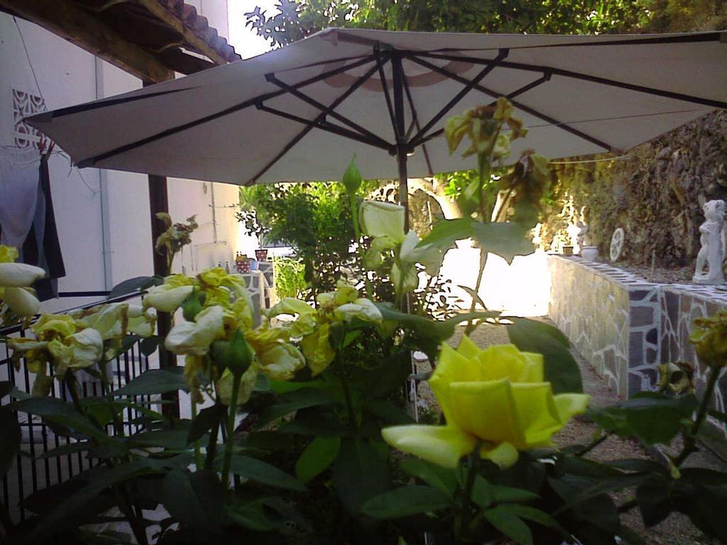 Marabou Guest house 3*