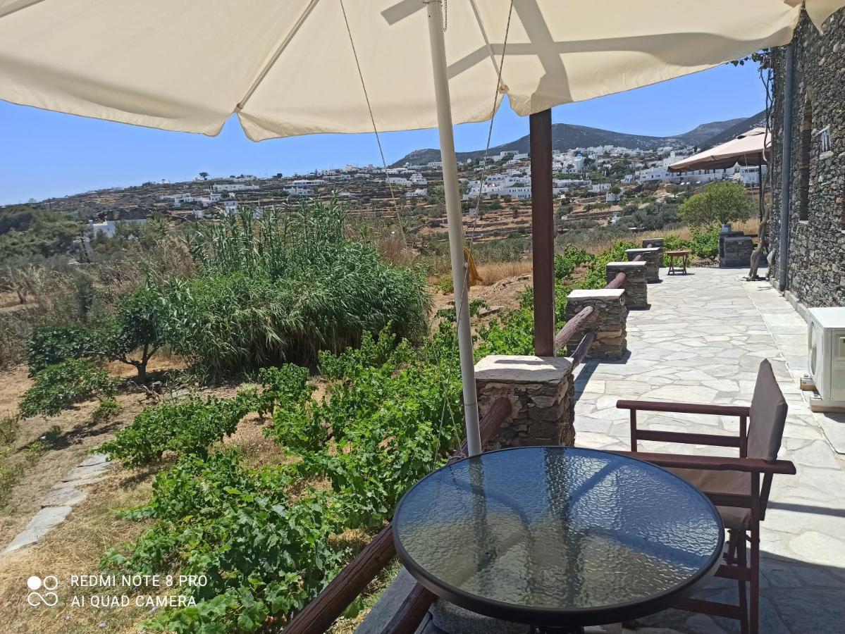 Apollon-artemis Apartment Apollonia (Sifnos)