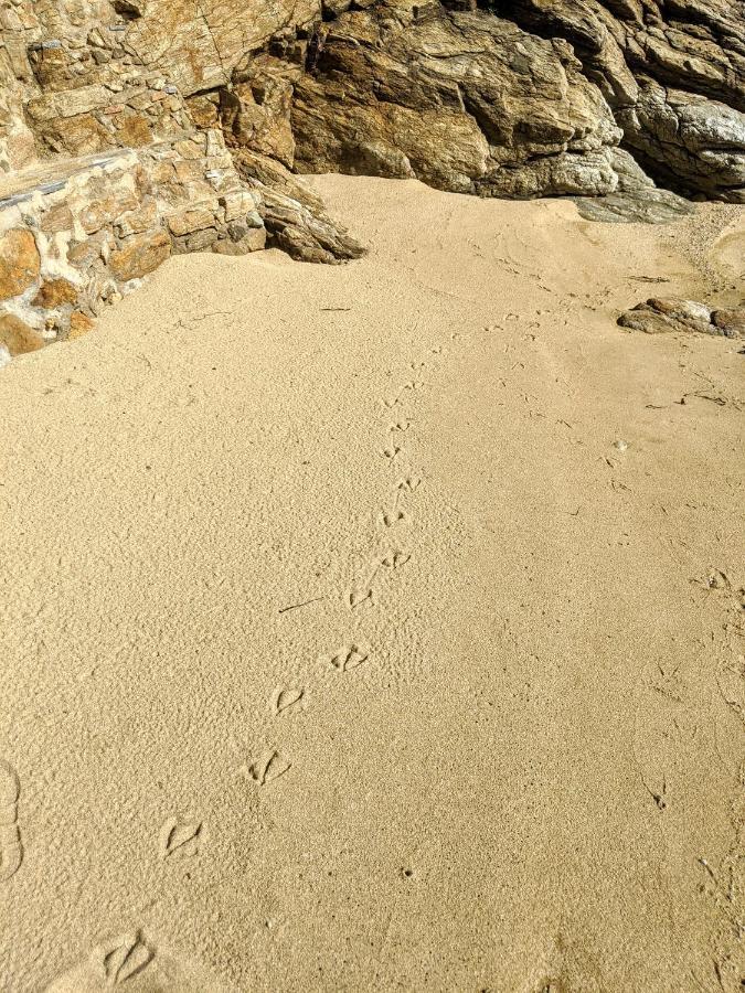 Seagull Stone Villa *