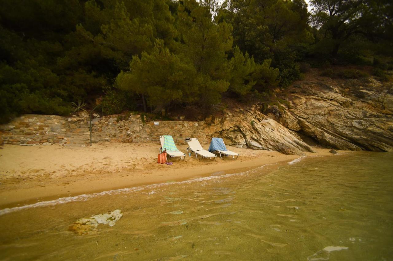 Seagull Stone Kolios