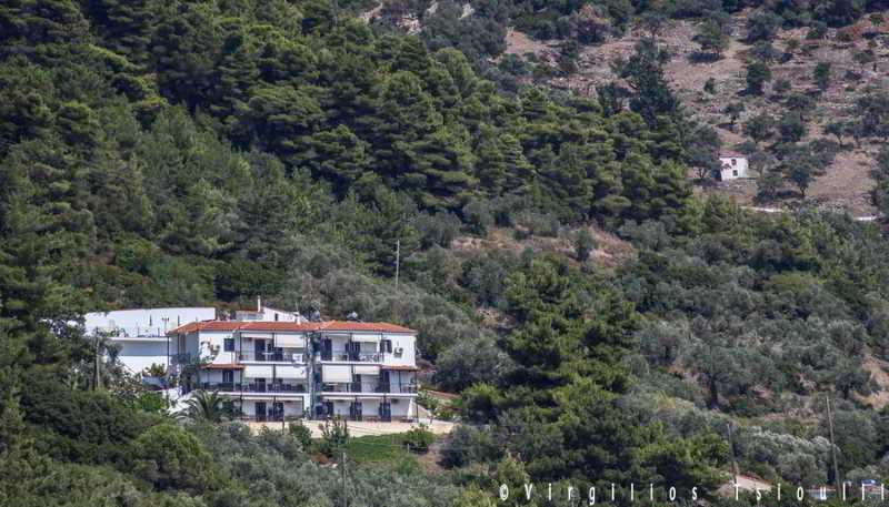 Aegeon Hotel Skopelos Town