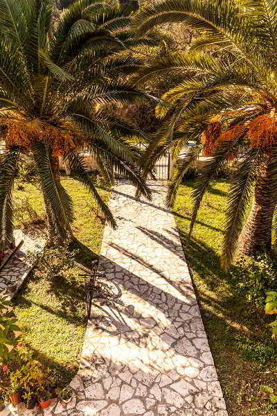 Haroula